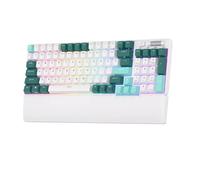 Tastiera meccanica Bluetooth wireless RK 96 RGB Tri-Mode BT5.0 2.4G USB Tastiera da gioco sostituibile a caldo compatibile con più dispositivi(CAMP GREEN)