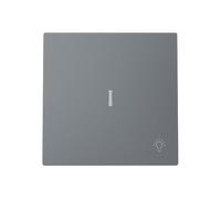 Tasto pulsante con simbolo luce e visorNIESSEN 8904.4 GRserie AlbaGrigio opaco