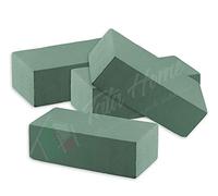 Tata Home Set 10 Pezzi Spugna per Fiori Freschi Secchi Piante Schiuma Floreale Assorbente Composizioni Floreali Misura 23x10x7 cm