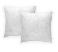 Tata Home Set 2 Pezzi Anima Imbottitura in Ovatta per Cuscini Arredo Divano e Letto Made in Italy Misura 62x62 cm