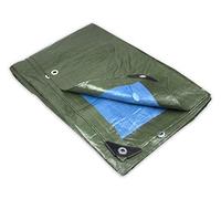 Tata Home Telone Impermeabile per Esterno Occhiellato in PVC Colore Blu e Verde Misura cm 300X400 Metri 3X4