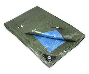 Tata Home Telone Impermeabile per Esterno Occhiellato in PVC Colore Blu e Verde Misura cm 400X500 Metri 4X5