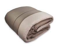 Tata Home Trapunta Piumone Invernale da 300 gr/mq Calda e Morbida in Microfibra Traspirante Anallergica Made in Italy per Letto Una Piazza e Mezza 210x260 cm Colore Terra Beige