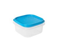 TATAY Contenitore per Alimenti, Ermetico, capacità 0,3L, Coperchio a Scatto Flessibile, Senza BPA, Adatto al microonde e alla lavastoviglie, Blu. Dimensione: 10 x 10 x 5,5 cm