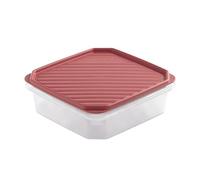 TATAY Contenitore per Alimenti, Ermetico, Capacità 1.3L, Coperchio a scatto flessibile, senza BPA, Adatto al microonde e alla lavastoviglie, Rosso mirtillo. Dimensione: 18,5 x 18,5 x 6,1 cm