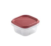 TATAY Contenitore per Alimenti, Ermetico, Capacità 0,3L, Coperchio a scatto flessibile, senza BPA, Adatto al microonde e alla lavastoviglie, Rosso mirtillo. Dimensione: 10 x 10 x 5,5 cm