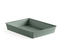 TATAY Organizer Cassetti A4 Bohol | Cestino Portaoggetti | Design Minimalista Funzionale | Ordine Casa e Ufficio | Plastica Riciclata senza BPA | 26,5x35x5,5 cm, Verde