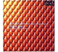 Tatsuya Ishii - Legend of Dragon Slayers