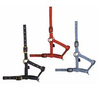 Tattini Capezza Nylon da Puledro Accessori ed Altro