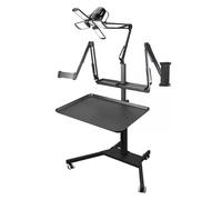 Tattoo Workstation Console multifunzione con luce ultra luminosa da 60 W e doppio supporto universale per tablet per telefono cellulare telaio in acciaio inossidabile con ruote per una facile mobilità
