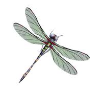 tatuaggi finti, tatuaggi temporanei, 3 fogli adesivi for tatuaggi temporanei libellula colorati modello piccolo spalla braccio caviglia tatuaggio finto realistico, verde