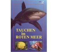 Tauchen im Roten Meer