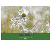 Taufrisch ... am frühen Morgen in der Wiese (Wandkalender 2026 DIN A3 quer), CALVENDO Monatskalender: Erfrischende Impressionen mit Tautropfen