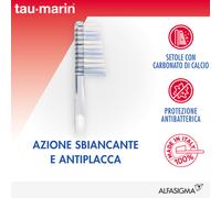 Tau-Marin Professional White spazzolino setole medie con carbone