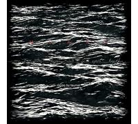 Taumel - Now We Stay Forever Lost in Space Together (Digi)