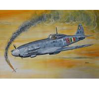 TAURO MODEL TM305 MACCHI M.C.205 VELTRO SCALA 1:48