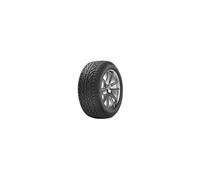 Taurus 601 Winter 215/45R17 91V XL