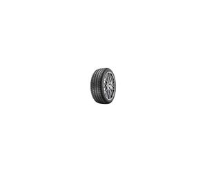 Taurus TAURUS HP 205/55 R16 91 W