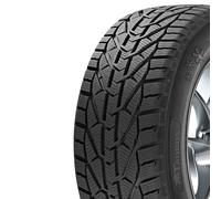 Taurus Winter 205/65R16 95H