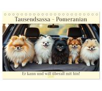Tausendsassa - Pomeranian (Tischkalender 2026 DIN A5 quer), CALVENDO Monatskalender: Er kann und will überall mit hin!