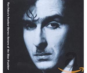 Tav Falco & Panther - Return Of The Blue Panther / Midnight In Memphis
