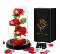 TAVADA La Bella e La Bestia Rosa Eterna,Kit di Rose,Rosa Bella e La Bestia con Luce a LED con 1 Biglietto di Auguri,Festa della Mamma,Idee Regalo San Valentino,Anniversario