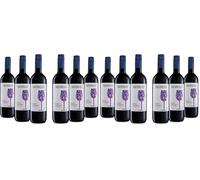 Tavernello Syrah Cabernet Vino Rosso d'Italia, Vino Rotondo ed Equilibrato, 13% Vol, Confezione con 6 Bottiglie da 0,75 L (Confezione da 2)