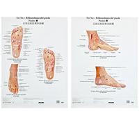 Tavole tui na. Riflessologia del piede