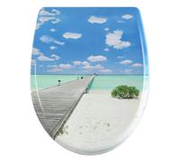 Tavoletta Wc Copriwater ovale in Duroplast, sedile WC con chiusura ammortizzata antibatterico e funzione di sgancio rapido for parti del bagno(Color10)