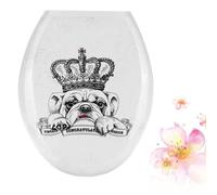 Tavolette Per Wc Tavoletta Colorata Coperchio Di Del Bagno Il Copertine