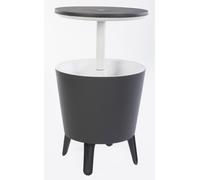 Tavolino Termico Piano Rialzabile Ø49,5 cm in Resina Keter Cool Bar Grigio