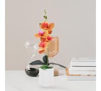 Tavolo Da Orchidea Bonsai Di Orchidee Realistiche Vaso Fiori Falso