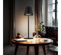 Tavolo Inserto Della Bottiglia Lampada per Esterni Nero Touch Dimmer LED Akku [EEK: Inaditato]