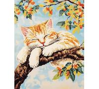Taxpy 11Ct Kit Punto Croce Prestampato, Un Gatto Pigro Su Un Ramo Ricami Disegni Punto Croce Kit Da Ricamare Quadri Per Bambini Principianti, 40X50Cm Set Kit Ricamo Punto Croce Schemi Completo Sta