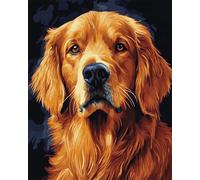 Taxpy DIY Dipingere Con I Numeri Bambini（Cornice DIY Golden Retriever Cane Animale Kit Di Pittura Con I Numeri Kit Di Pittura A Olio Su Tela Artigianato Arte Pigmento Acrilico Disegno Pittura 40x50cm