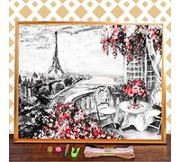 Taxpy Kit Per Punto Croce, Paesaggio Di Strada Parigi Tela Stampata 11Ct Kit Per Ricamo A Punto Croce Fili Dmc Artigianato Cucito Artigianale Lavoro Manuale Diy Kit Per Ricamo A Mano 40X50Cm 11Ct Per