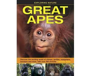 Taylor Barbara Exploring Nature: Great Apes (Copertina rigida)