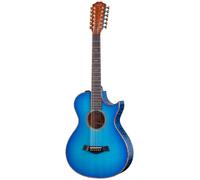 Taylor Custom #1: Windward Coast
