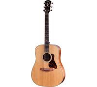 Taylor Gold Label 510e