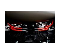 Taylor, set di cavi per candele Pro Wire da 8 mm. Rosso 18-24 Softail