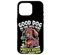 Tazza da tè amante dei cani donne uomini carino piccolo razza Sassy Pet Humor Custodia per iPhone 16 Pro