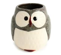 Tazza da tè Mino ware ceramica giapponese Yunomi Chawan forma gufo pietra car...