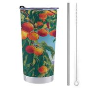 Tazza da viaggio da 590 ml, con bellissima bottiglia d'acqua con pesche e albicocche, in acciaio inox, isolata sottovuoto, con coperchio con cannuccia e spazzola per la pulizia