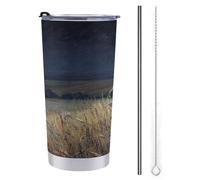 Tazza da viaggio da 590 ml, con gatto nero nel campo di notte, in acciaio inox, isolata sottovuoto, con coperchio con cannuccia e spazzola per la pulizia