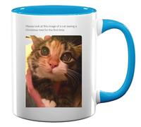 Tazza in ceramica con scritta "Cat sees Christmas Lights for The First Time", colore: azzurro