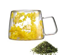 Tazza trasparente con fiori - Tazza in a doppia parete - Elegante Brewware - Isolatore | 200 ml porta tazza da caffè con maniglia, vaso da fiori Sipper Pot