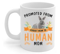 Tazze Da Caffè In Ceramica Promoted From Blue Rabbit To Human Con Manico Tazze Retrò Mug In Porcellana Per Thè Latte Quotidiano