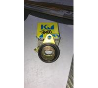 TB100-531006410 - CUSCINETTO TENDICINGHIA DISTRIBUZIONE RENAULT DISPONIBILE KM