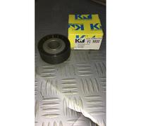 TB980-APV2153 - CUSCINETTO TENDICINGHIA AUSILIARE LAND ROVER DISPONIBILE KM