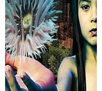 The Future Sound Of London - Lifeforms